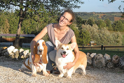 Allevamento Dei Bentivoglio Kennel Bassethound Kennel Welsh Corgi Pembroke Vendita Bassethound Vendita Welsh Corgi Pembroke